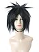 FENGSHANG Naruto Uchiha Sasuke Short Cosplay Wigs 14 Inches Black