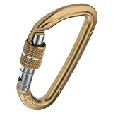 Camp Orbit Locking Carabiner