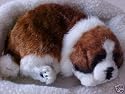 BREATHING/SLEEPING ST BERNARD PUPPY