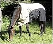 TuffRider 600D Stretch Manager Turnout Sheet
