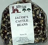 Jacobs Cattle