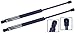 2 Pieces (Set) Tuff Support Back Glass Lift Supports 2003 To 2008 Kia Sorento