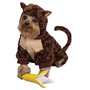 Zack & Zoey Monkey Costume Med