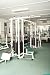 Wallmonkeys Peel and Stick Wall Decals - Green Gym - Removable Graphic