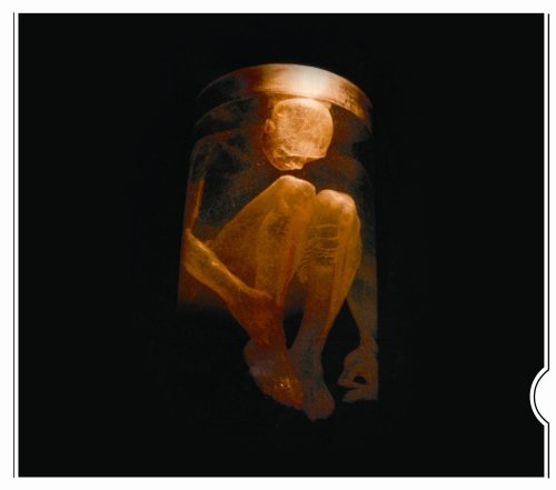 Alice In Chains - Nothing Safe-The Best of The Box (Eco-Friendly Packaging) - Zortam Music