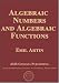 Book Algebraic Numbers and Algebraic Functions (AMS Chelsea Publishing)