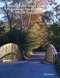 Wood Termite Books
