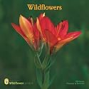 Wildflowers 2008 Wall Calendar (German, French, Spanish and English Edition)