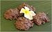 Gourmet Food : J. Michelle Chocolatier Belgian Milk Chocolate Coconut Clusters (1 lb.)