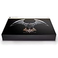 Batman: Arkham Asylum - Collector's Edition (PC DVD)