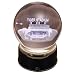 NCAA LSU Tigers Stadium Etched Lit Rotating Musical Crystal Ball