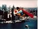Search : Christopher Reeve Superman 8x10 Photo