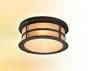 Aspen Fluorescent Flush Mount Ceiling Lamp