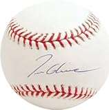Tom Glavine Autographed MLB Baseball