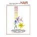 Hair: Vocal Selections