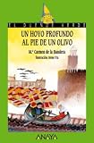 132. Un hoyo profundo al pie de un olivo (Cuentos, Mitos Y Libros-Regalo)