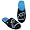 Carolina Panthers