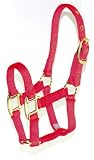 Hamilton Pony 3/4 Nylon Horse Halter, Raspberry