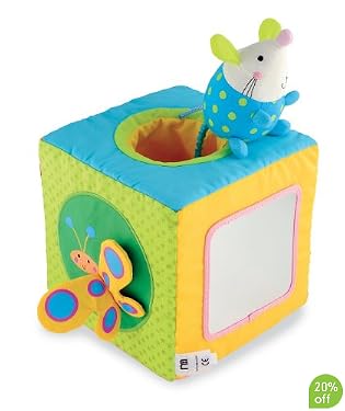 Sunshine Garden Activity Cube 
