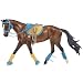 ENGLISH RIDING SET HOT COLORS