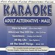Karaoke: Adult Alternative Male