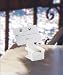 White ADIRONDACK CHAIR placecard holders