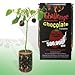Chocolate Habanero Pepper - All-included-planter-kit . Just Add Water.