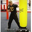 Punching bag for kids of all ages, with an instructional DVD Presentation.
