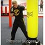 Punching bag for kids of all ages, with an instructional DVD Presentation.