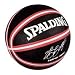 Spalding Fanball Lebron James