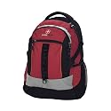 Swiss Gear ST. Gotthard Illuminated Daypack