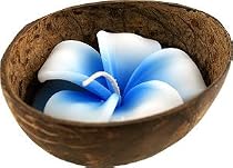 Coconut and Bamboo candles Coconut and Bamboo candles