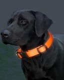 Leuchthalsband Halsband Hunde M rot