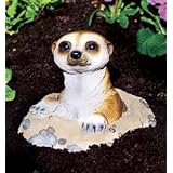 Meerkat Garden Decoration - Ideal for Birthday or Any Other Gift.