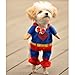 Alfie Pet - Superhero Costume - Color: Blue, Red & Yellow, Size: M