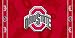NCAA Ohio State Buckeyes Fiber Reactive Beach Towel