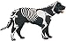 Glow in the Dark Skeleton Pet Costume