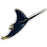 MLB Tampa Bay Rays Embroidered Team Logo Collectible Patch-