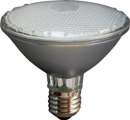 Dimmable LED PAR30 6W Flood Lamp (Replace up to 60W)