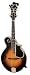 Epiphone MM-50 F-Style Mandolin, Vintage Sunburst