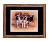 Two Baby Beagle Puppy Dogs Hunting Picture Double Matted Art Print (black over white) Oak Framed