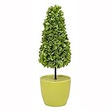 ソーラーライト 植木型 太陽光蓄電式 LEDライト付き LP-4142 〔玄関 エントランス インテリア〕