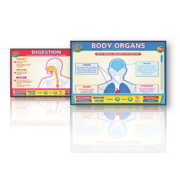 BODY ORGAN INTERACTIVE WHITEBOARDS