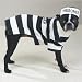 Canine Prison Dogs Costumes
