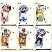 2006 Playoff NFL Playoffs Football Series Complete Mint 150 Card Set. Loaded with Stars and Rookies Including Peyton Manning, Brett Favre, LaDainian Tomlinson, Donovan McNabb, Carson Palmer, Drew Brees, Michael Vick, Ben Roethlisberger, Reggie Bush, Matt Leinart, Vince Young, Jay Cutler, Mario Williams, AJ Hawk, Joseph Addai, Laurence Maroney, Michael Huff, Demeco Ryans, Marques Colston and Many More!!