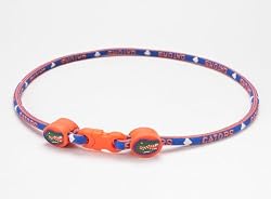 Florida Gators 21 Inch Titanium Sport Necklace NCAA College Team Logo