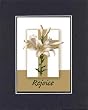 Poems for Easter - Rejoice. . . 8 x 10 Inches Biblical/Religious Verses set in Double Beveled Matting - A Timeless and Priceless Poetry Keepsake Collection