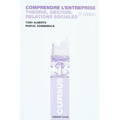 Comprendre l'entreprise: Th�orie, gestion, relations sociales