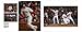 Boston Red Sox: 2013 World Champions: Every Picture Tells the Story