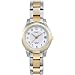 Timex Women's Fashion Two-Tone Bracelet #T25771